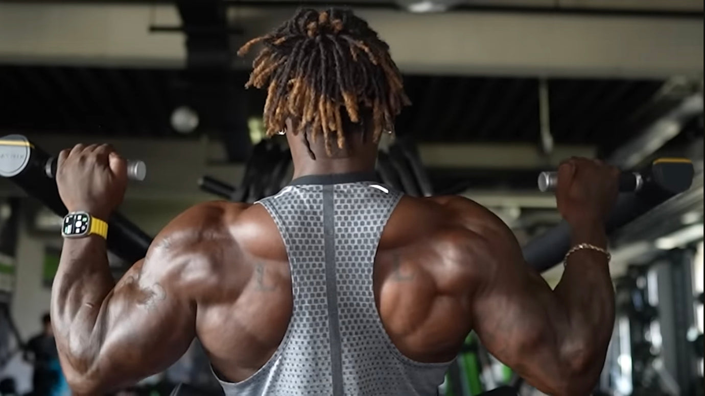 A Scientific Approach to Back Training - How to Build a Powerful Back
