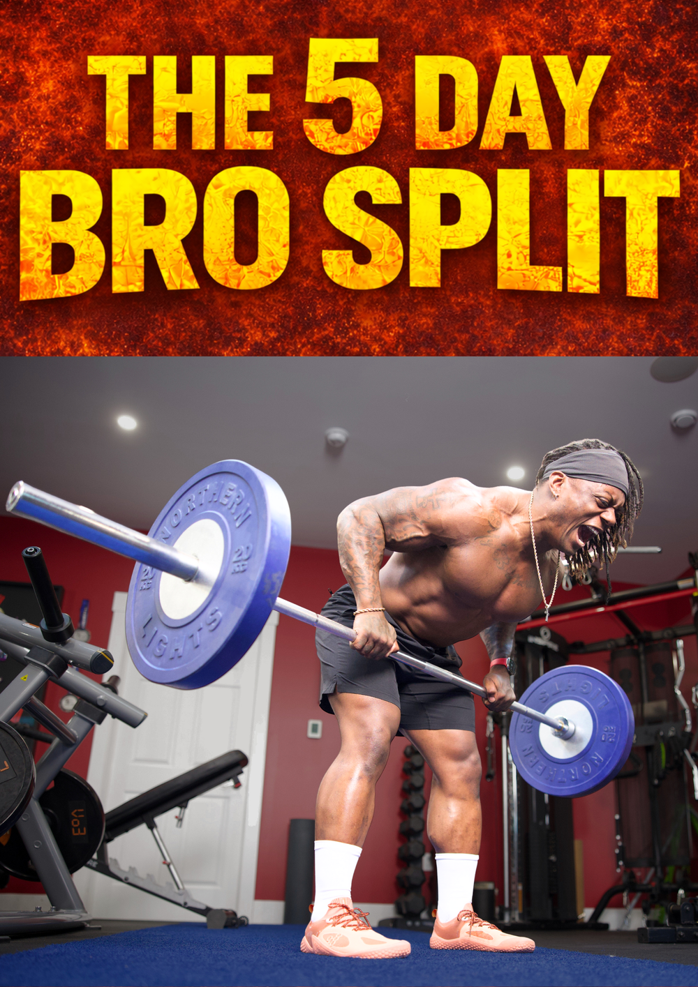 5-Day Bro Split
