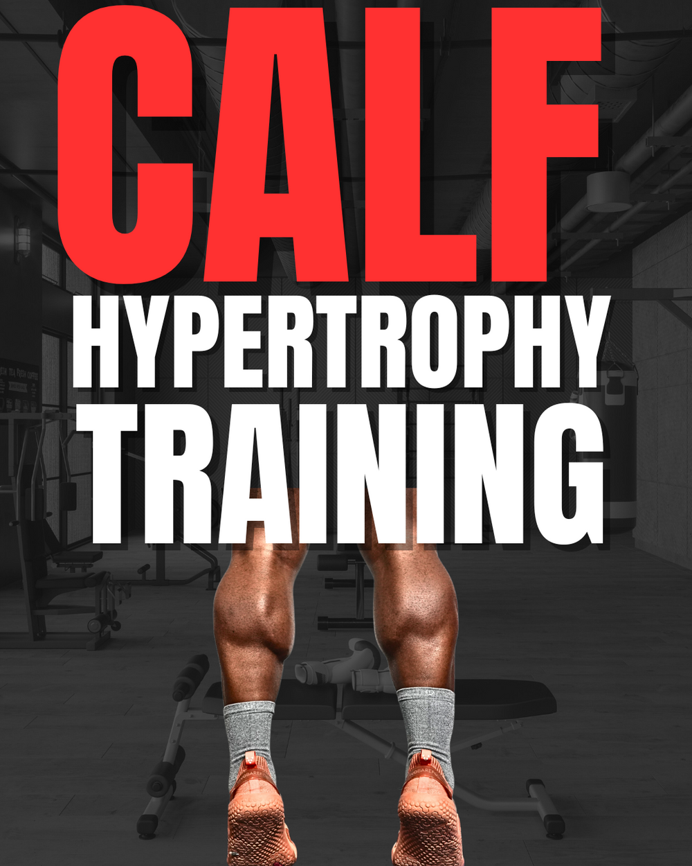 Calf Hypertrophy